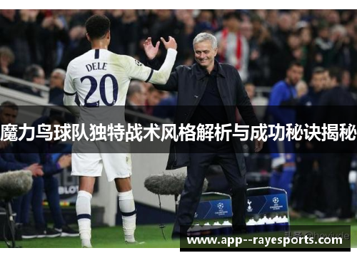 魔力鸟球队独特战术风格解析与成功秘诀揭秘