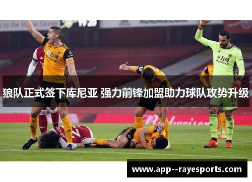 狼队正式签下库尼亚 强力前锋加盟助力球队攻势升级